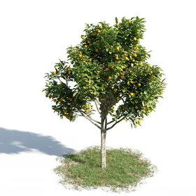 C4D模型绿色植物果树大树化化带