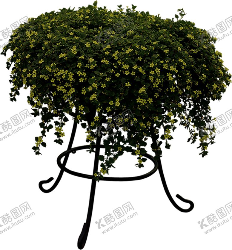 编号：89382310171032037175【酷图网】源文件下载-绿色植物