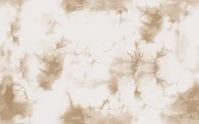 扎染女装定位数码印花