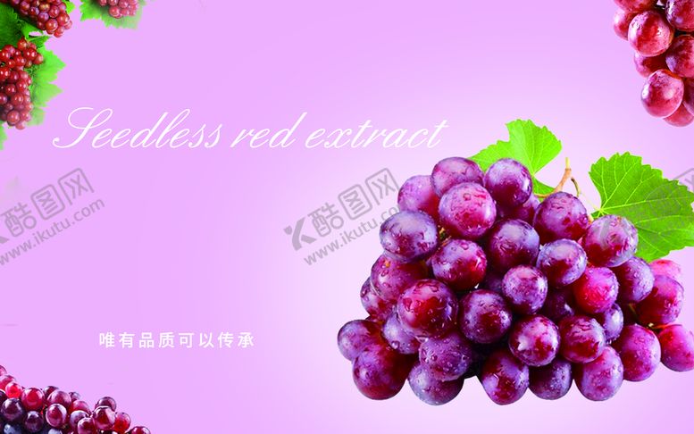 编号：85634909171747156908【酷图网】源文件下载-红提海报
