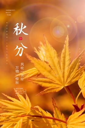 秋分