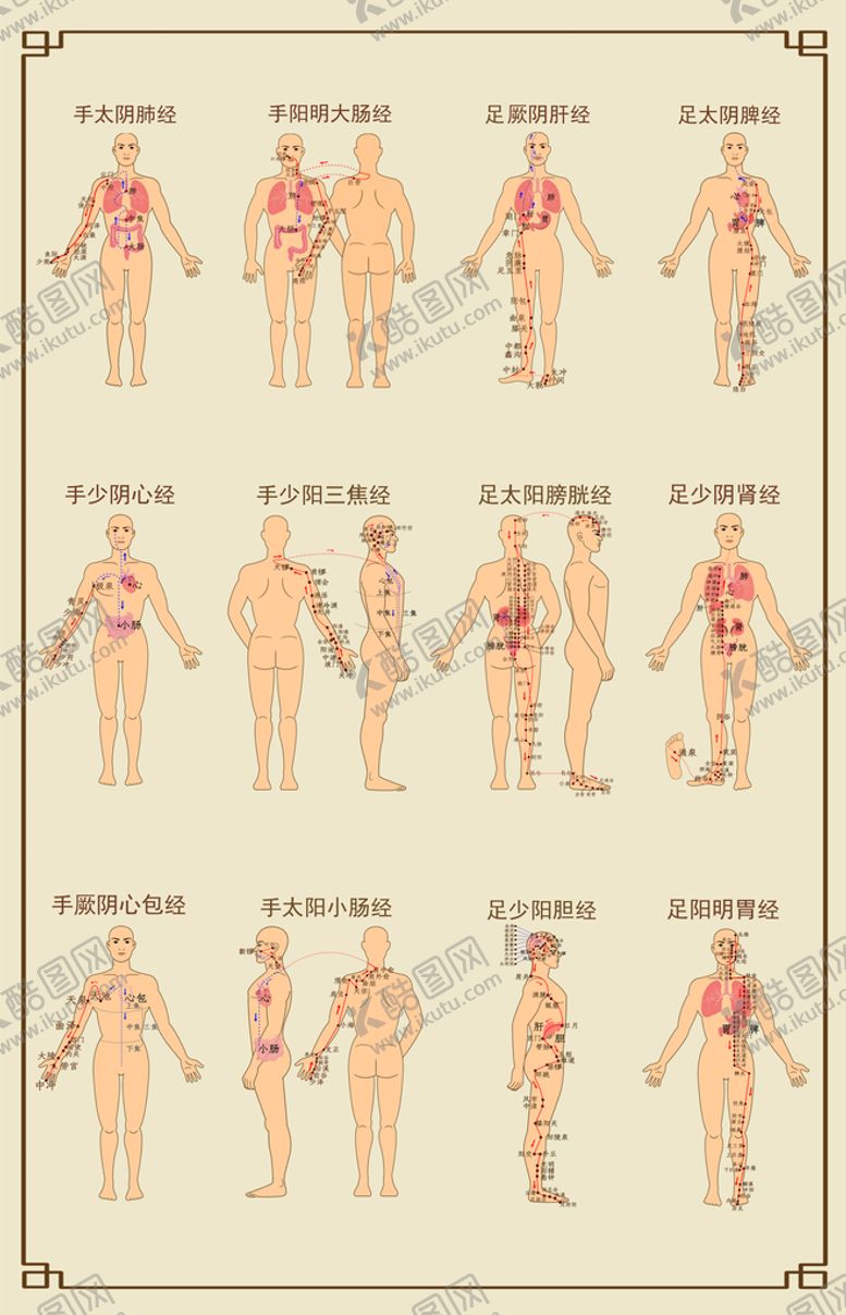 编号：13457610090306317689【酷图网】源文件下载-十二经络