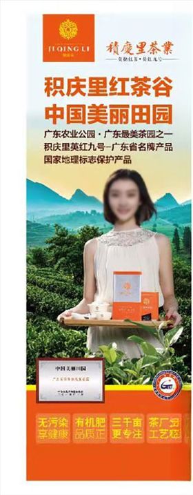 红茶英红九号茶叶茶园