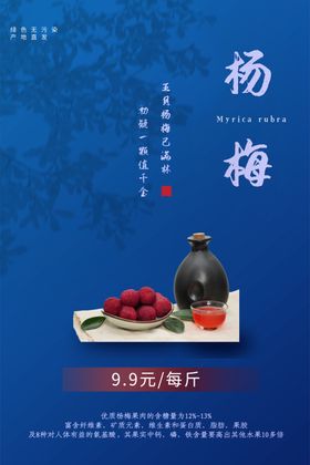 杨梅采摘海报