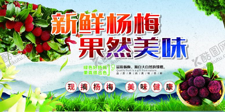 编号：89915402190446223357【酷图网】源文件下载-杨梅海报