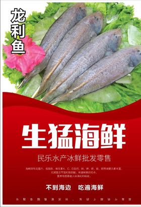 不到海边吃遍海鲜