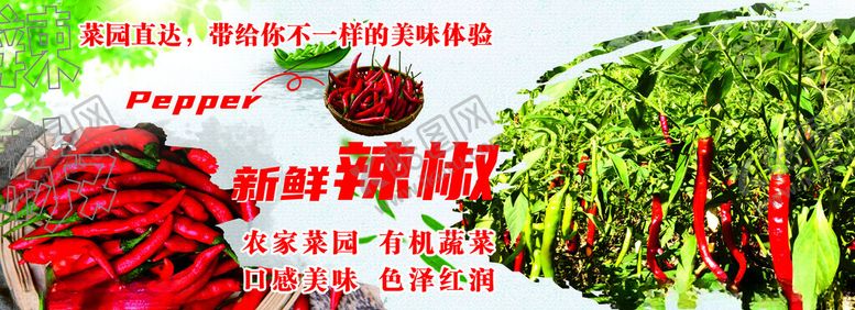 编号：75840302101731107508【酷图网】源文件下载-辣椒海报