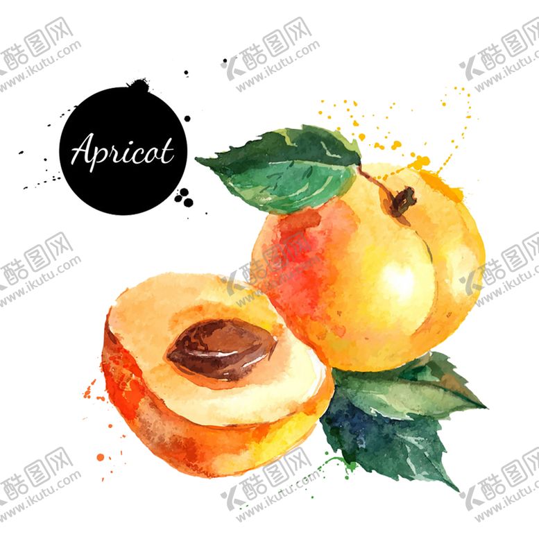 编号：72405710162015459420【酷图网】源文件下载-水果