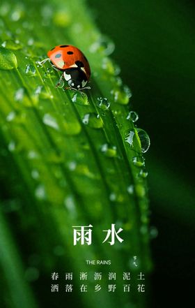 雨水手机海报