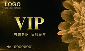 V/P黑卡