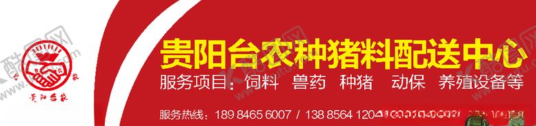 编号：15116105180803445115【酷图网】源文件下载-门头