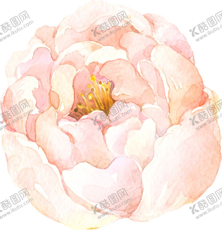 编号：65163807060413269508【酷图网】源文件下载-水彩手绘花卉花朵植物