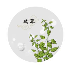 中药材团扇