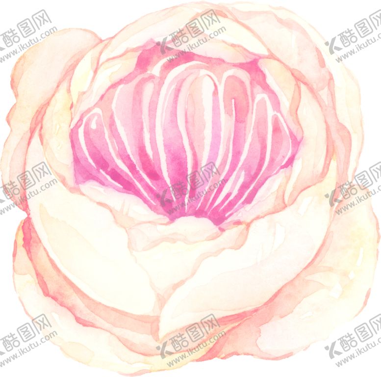 编号：61569105062224469438【酷图网】源文件下载-水彩手绘花卉花朵植物