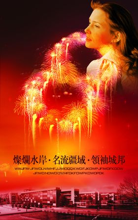 烟花开放在新年