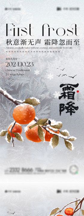 霜降节气系列海报冰雪花柿子简约二十四