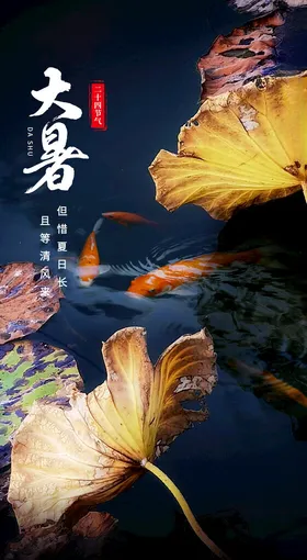 大暑海报24节气二十四节气节气夏季传统节气