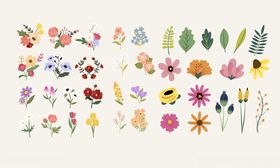 多彩手绘花卉植物图案集