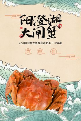 阳澄湖大闸蟹