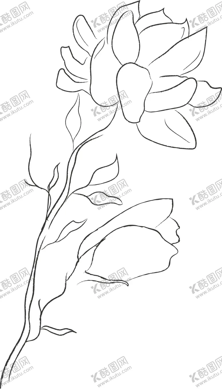 编号：57933904121703182901【酷图网】源文件下载-森系花卉