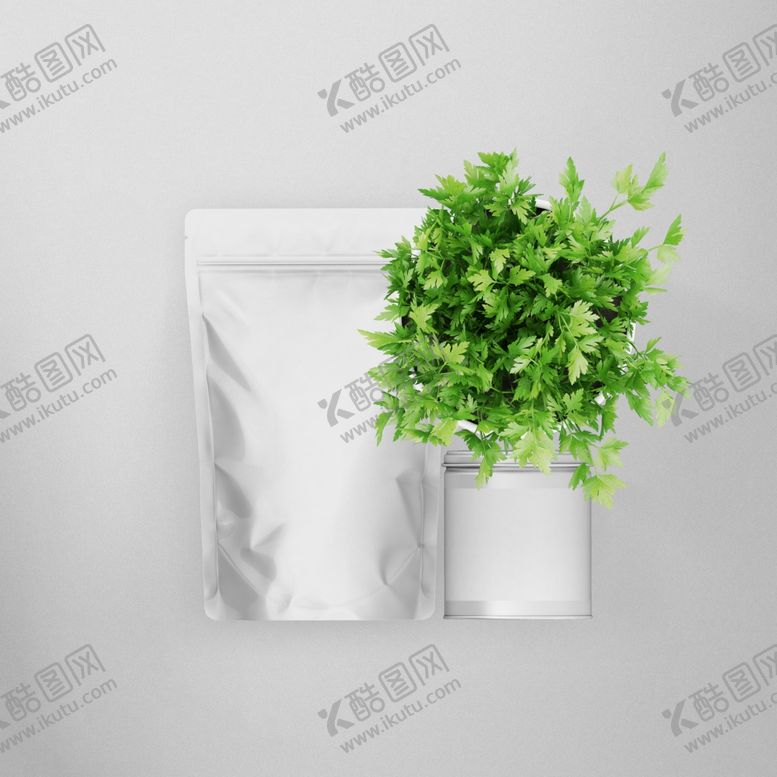 编号：44818610052305355983【酷图网】源文件下载-包装样机