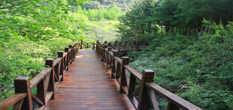 编号：60336309251433003379【酷图网】源文件下载-木栈道