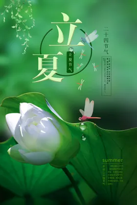 立夏至转发图地产传统节气