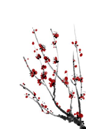 中国风水墨梅