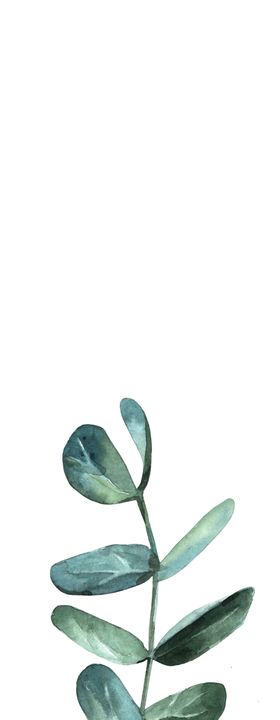 热带植物尤加利