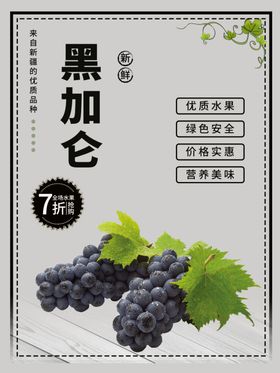 黑加仑