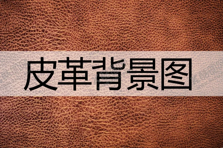 编号：11928801140903113708【酷图网】源文件下载-皮革