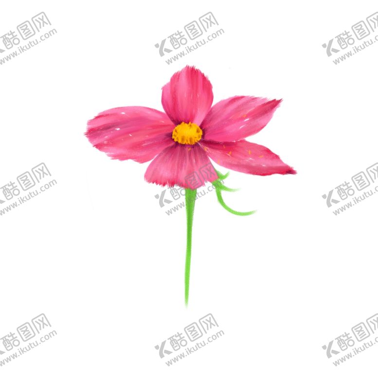 编号：35269610181233079411【酷图网】源文件下载-手绘格桑花