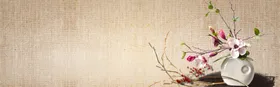 中国风水墨喜庆背景医鹤潮