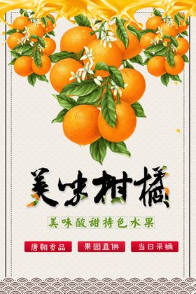 美味柑橘