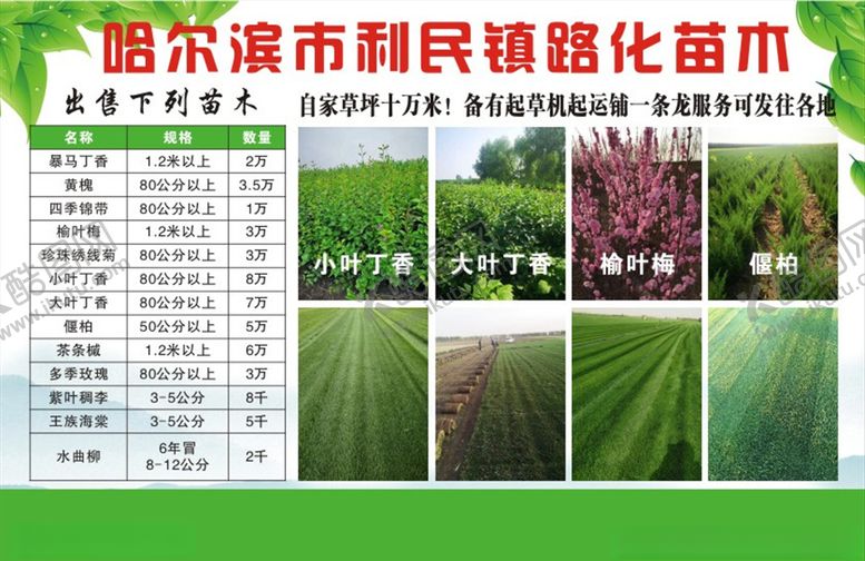 编号：39165510051225072304【酷图网】源文件下载-宣传彩页