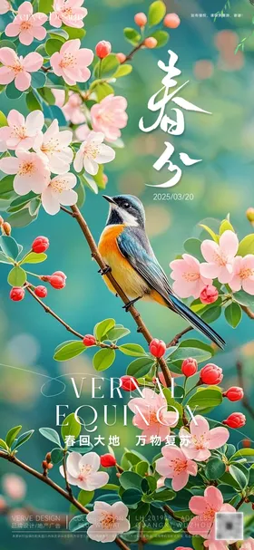 二十四节气春分海报