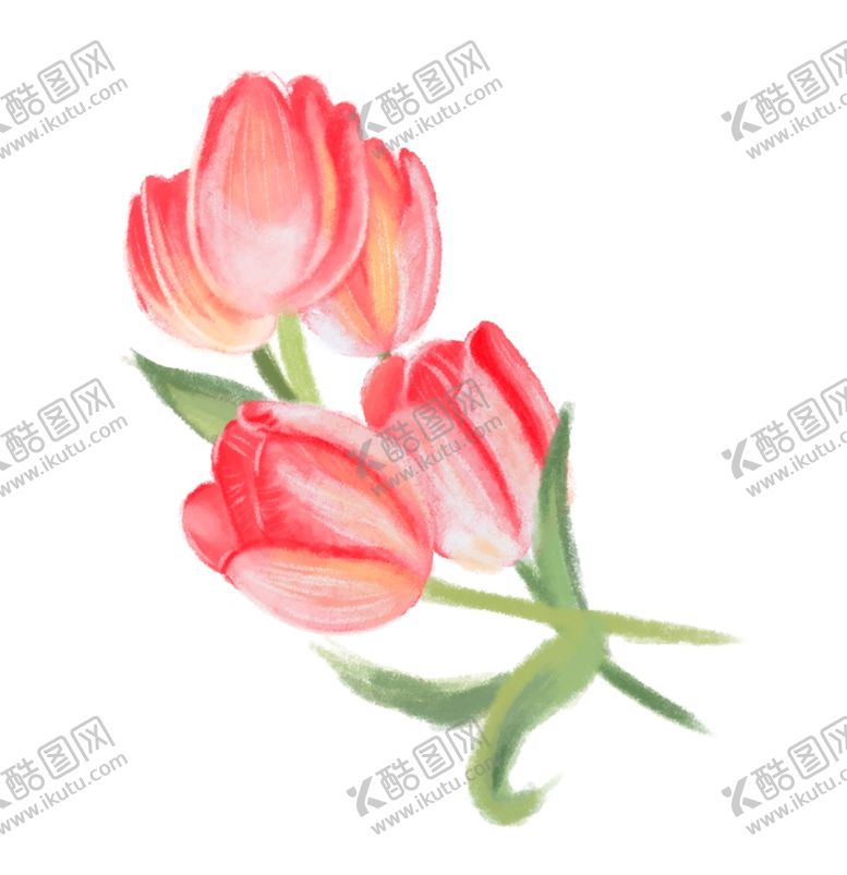 编号：28827004200741547475【酷图网】源文件下载-郁金香手绘素材