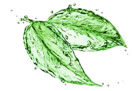 水花底纹