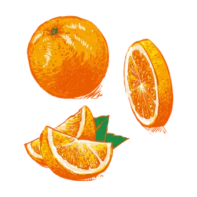 橙子