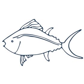 手绘海洋生物