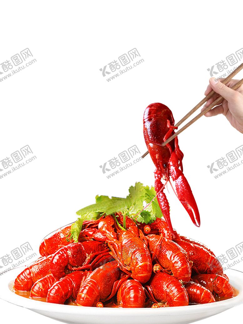 编号：90179111112031133300【酷图网】源文件下载-油焖大虾
