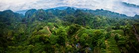 武夷山茶山全景图