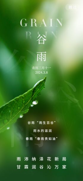 谷雨创意节气海报