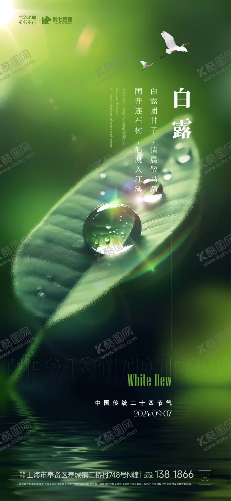编号：73230712031811361236【酷图网】源文件下载-白露