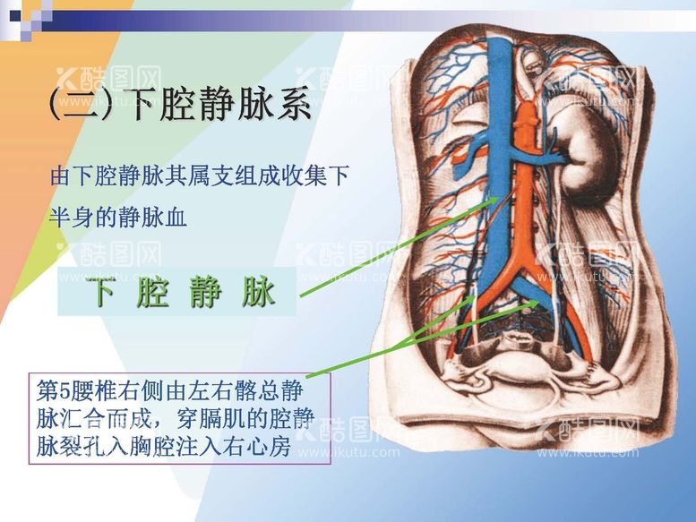 编号：34729912030859399519【酷图网】源文件下载-静脉