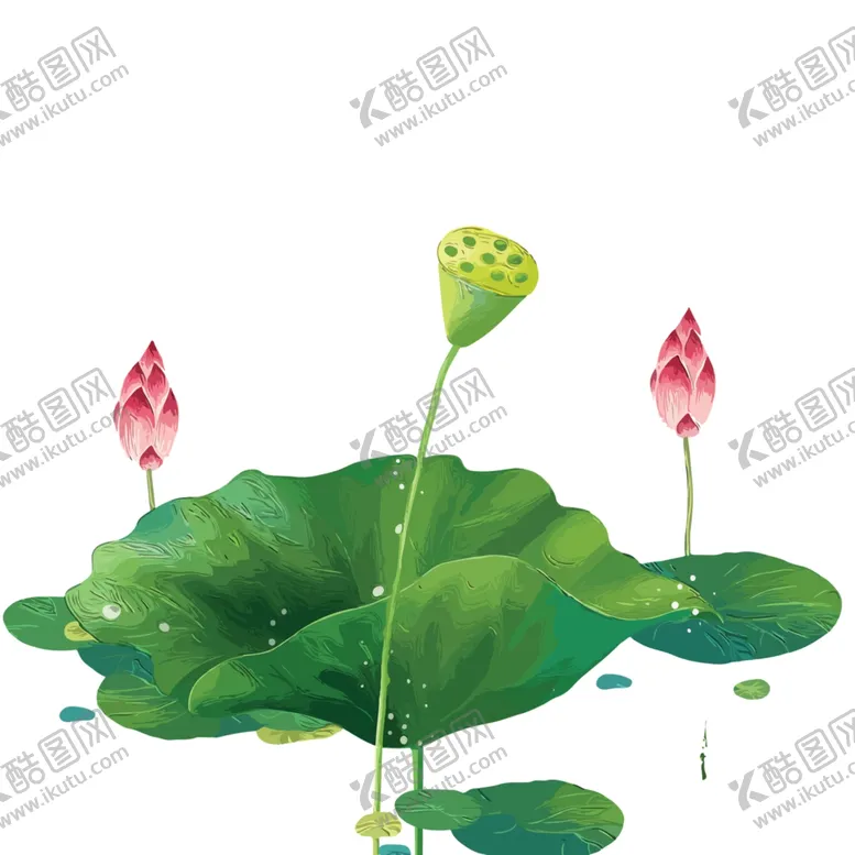 编号：28766701260233584687【酷图网】源文件下载-荷花素材