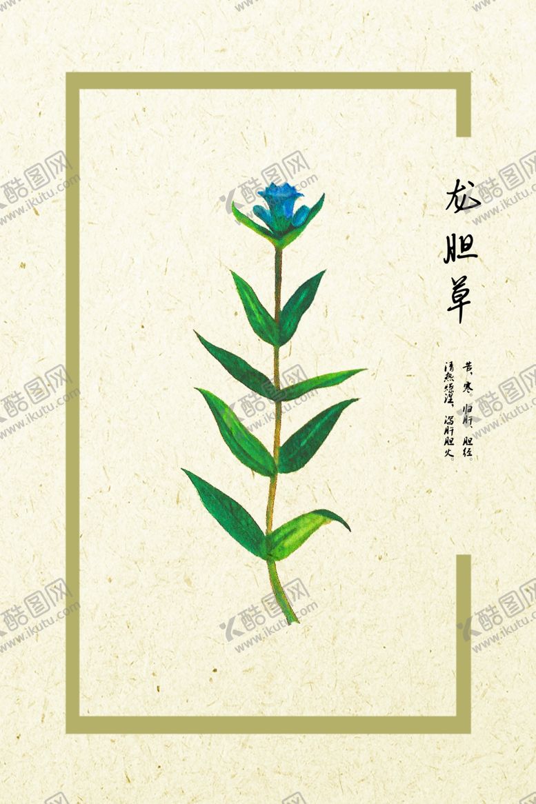 编号：34636610310554153951【酷图网】源文件下载-龙胆草