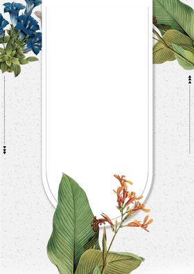 绿植文艺手绘设计背景