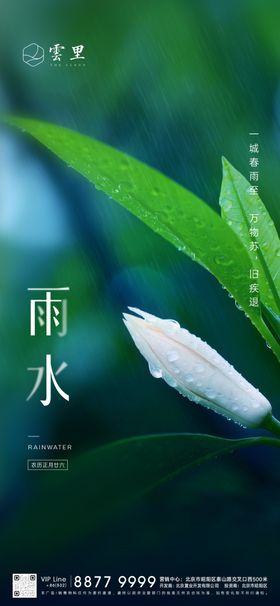 雨水刷屏