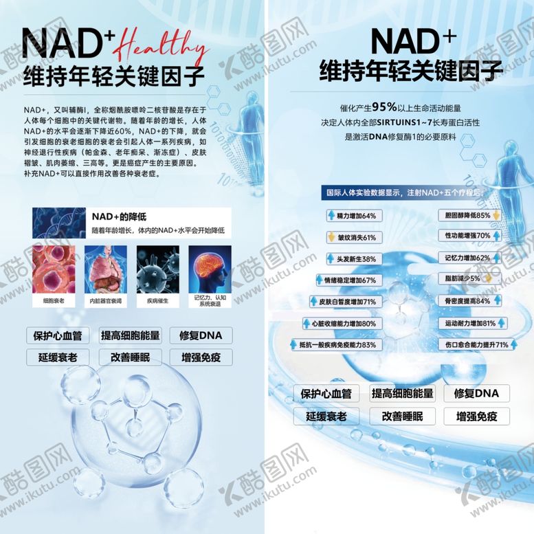 编号：22392404052257304212【酷图网】源文件下载-NAD抗衰因子宣传